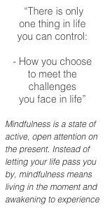  “There is only  one thing in life  you can control: 
- How you choose  to meet the challenges  you face in life”
Mindfulness is a state of active, open attention on the present. Instead of letting your life pass you by, mindfulness means living in the moment and awakening to experience